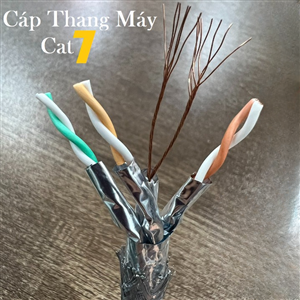 Cáp mạng thang máy Ancomteck Cat7 SFTP chống chuột elevator cable