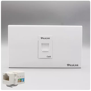 Bộ Wallplate mạng 1 cổng Cat6  ( 1 Mặt + 1 Nhân )