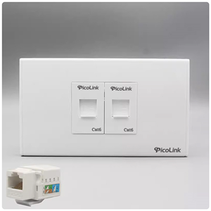 Bộ Wallplate mạng 2 cổng Cat6  ( 1 Mặt + 2 Nhân )