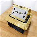 ổ cắm đế âm sàn 2 ổ điện Picolink PL-018