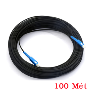 Cáp quang 1FO bấm sẵn 2 đầu SC Picolink PL-1FOSC-100
