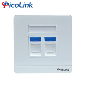 Mặt hình vuông 2 cổng Picolink PL-MV191-02