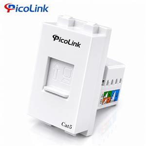 Nhân Mạng RJ45 Cat5, Modular Rack Cat5 PicoLink PL-19155