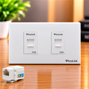 Ổ cắm mạng 2 cổng RJ45 Cat6 Picolink PL-MN191-02
